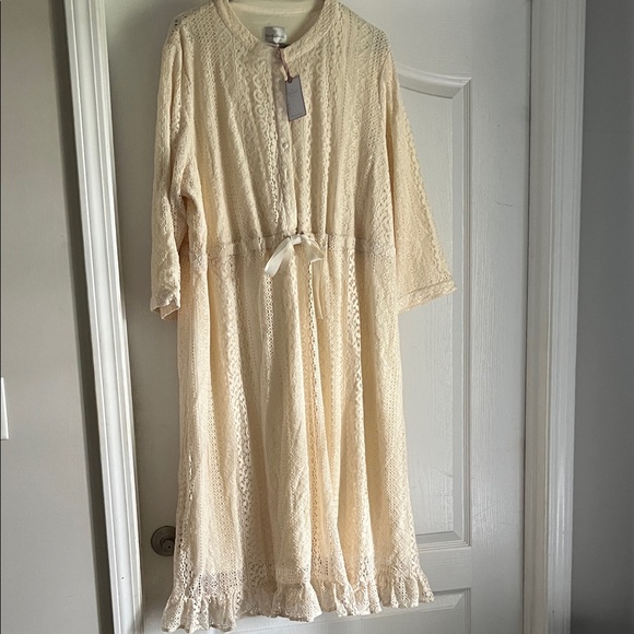 Dainty Jewells Dresses & Skirts - Dainty Jewells Cream Lace Dress